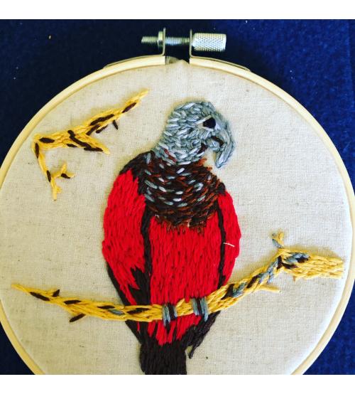 Original embroidered vulture parrot lives in the hills of New Guinea