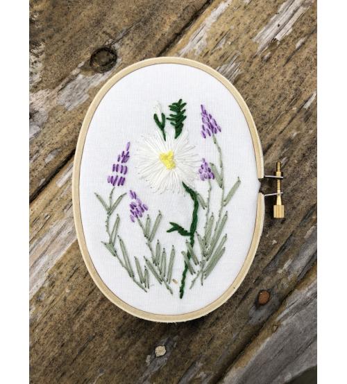 A daisy in the lavender patch